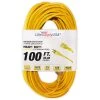 LifeSupplyUSA 100 ft. 16/3 SJT 13 Amp 125-Volt 1625-Watt Lighted End Indoor/Outdoor Heavy-Duty Extension Cord
